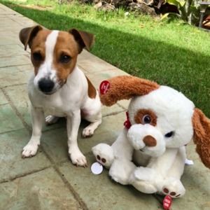 Meet your Posher, Maria